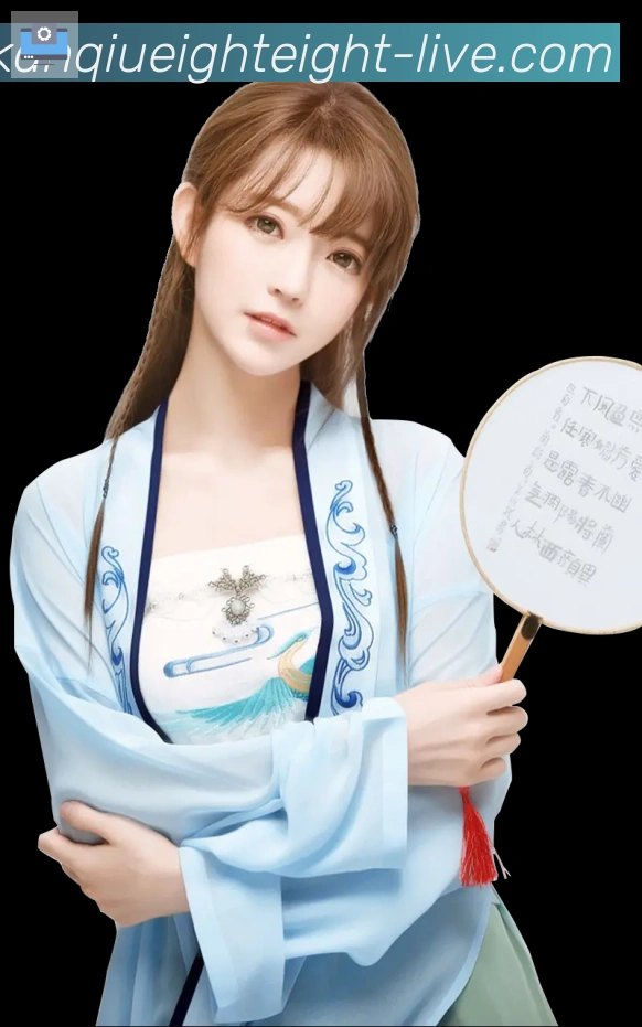 奖项证书